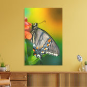 Ost-Tiger-Frack-Butterfly Leinwanddruck (Insitu (Wohnzimmer))