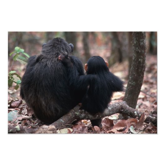 Ostafrika, Tansania Fotodruck (Vorne)