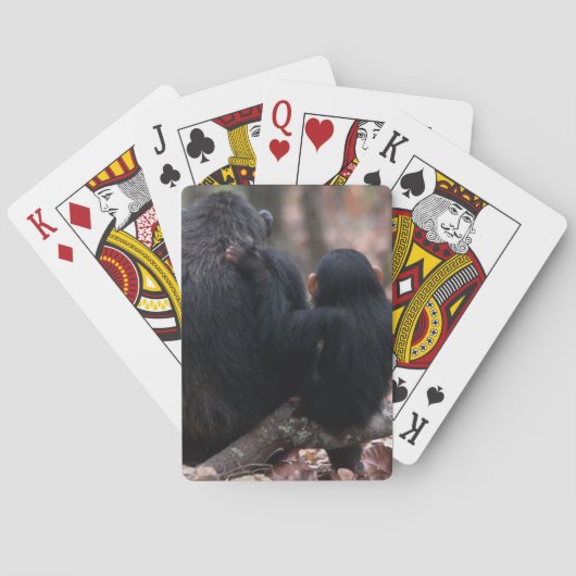 Ostafrika, Tansania Spielkarten (Rückseite)