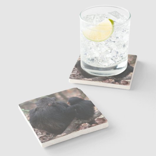 Ostafrika, Tansania Steinuntersetzer (Seitenansicht)