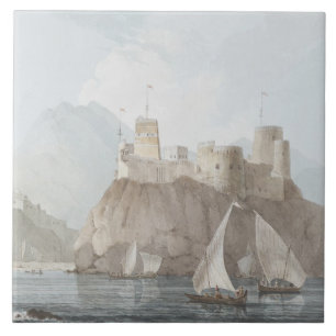 Ostansicht der Forts Jellali und Merani, Muskah, Fliese