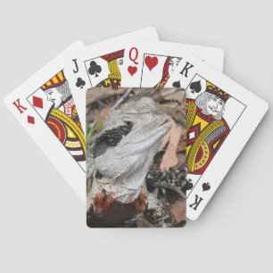 Ostaustralischer Wasser-Drache Spielkarten