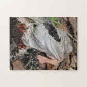 Ostaustralischer Wasseragame Puzzle (Horizontal)
