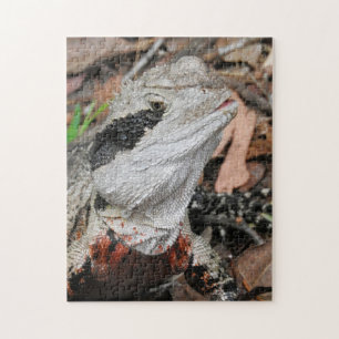 Ostaustralischer Wasseragame Puzzle