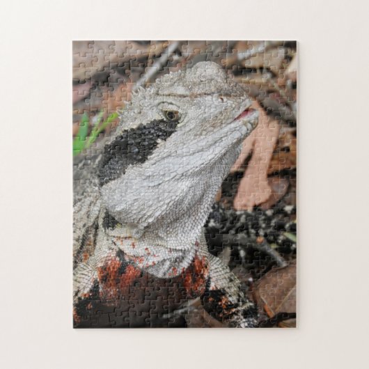 Ostaustralischer Wasseragame Puzzle (Vertikal)