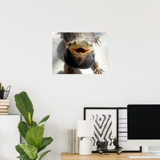 Ostbartdrache - Pogona barbata Poster (Heimbüro)