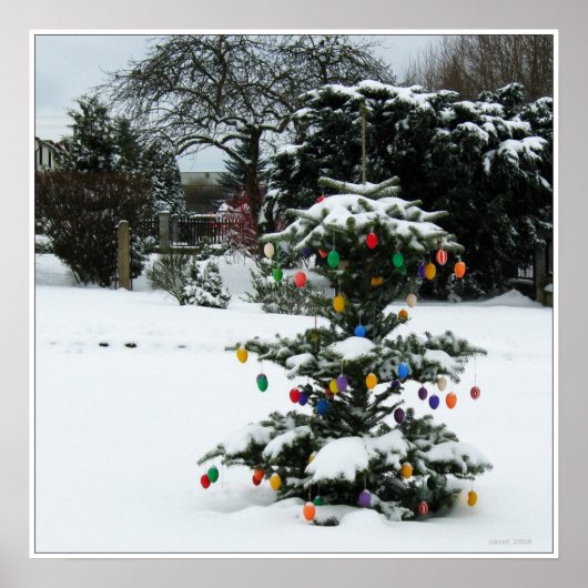 Ostbaum Poster (Vorne)