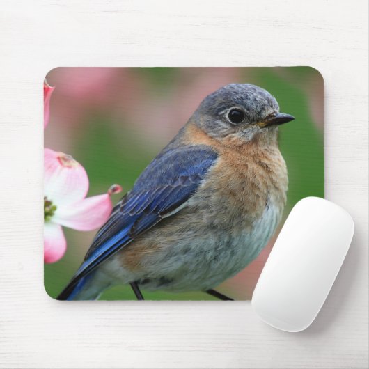 Ostblau Mousepad (Mit Mouse)