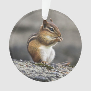 OstChipmunk Ornament