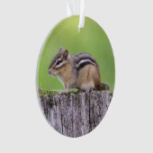 OstChipmunk Ornament (Vorderseite)