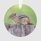 OstChipmunk Ornament (Vorderseite)