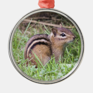 OstChipmunk Ornament Aus Metall