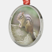OstChipmunk Silbernes Ornament (Links)