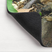OstChipmunk - Tamias striatus Mousepad (Ecke)