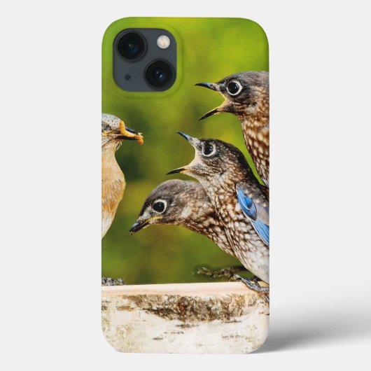 Ostdrossel Case-Mate iPhone Hülle (Rückseite)