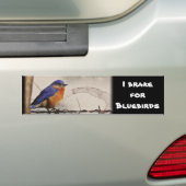 Ostdrossel-Foto Autoaufkleber (Auf Auto)