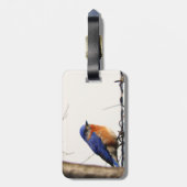 Ostdrossel-Foto Gepäckanhänger (Rückseite vertikal)