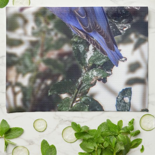 Ostdrossel-Geschirrtuch Geschirrtuch (Gefaltet)