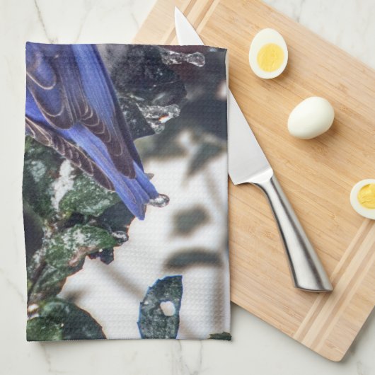 Ostdrossel-Geschirrtuch Geschirrtuch (Viertel Falte)