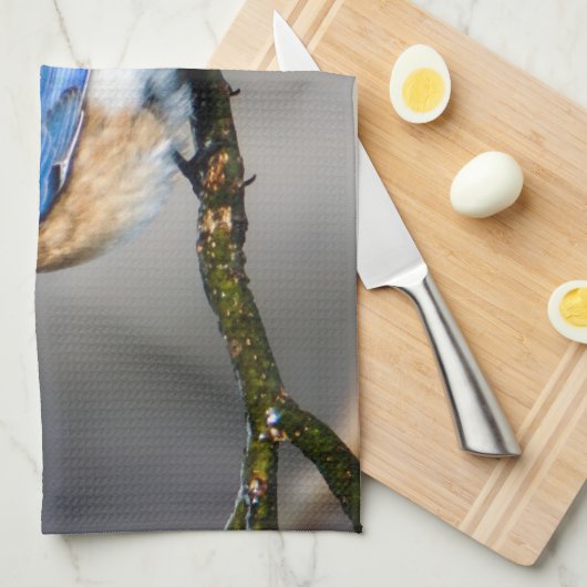 Ostdrossel-Geschirrtuch Geschirrtuch (Viertel Falte)