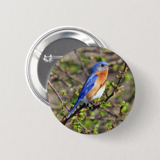 Ostdrossel-Knopf Button (Vorne & Hinten)