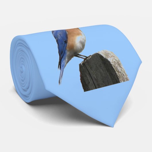 Ostdrossel-Krawatte Krawatte (Gerollt)