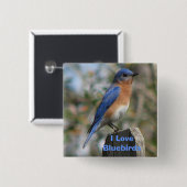 Ostdrossel-Mannesknopf Button (Vorne & Hinten)