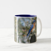 Ostdrossel-MannesTasse Zweifarbige Tasse (VorderseiteRechts)