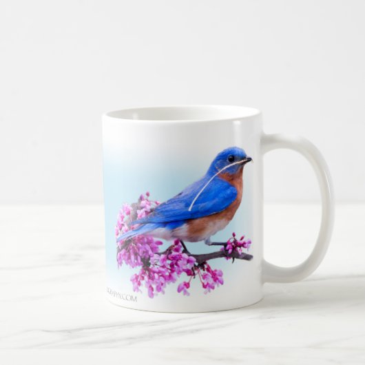Ostdrossel mit Hartriegel und redbud Kaffeetasse (Rechts)