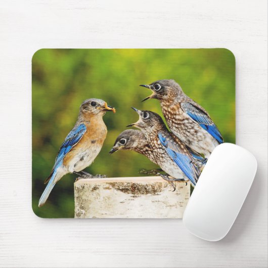 Ostdrossel Mousepad (Mit Mouse)