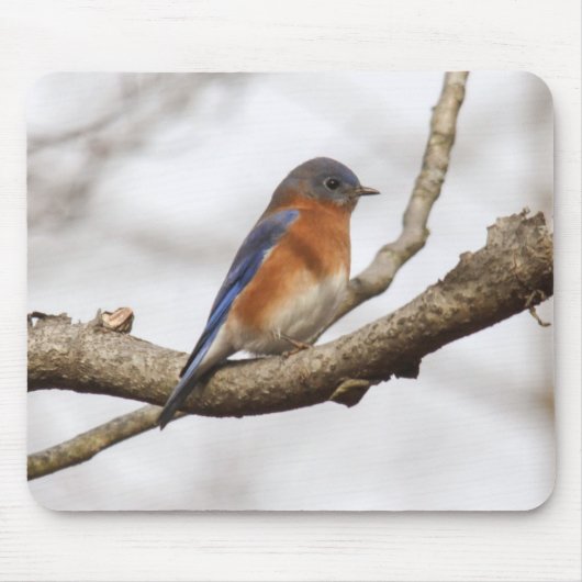 Ostdrossel Mousepad (Vorne)