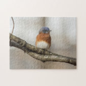 Ostdrossel Puzzle (Horizontal)