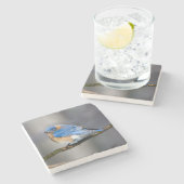 Ostdrossel-Stein-Untersetzer Steinuntersetzer (Seitenansicht)