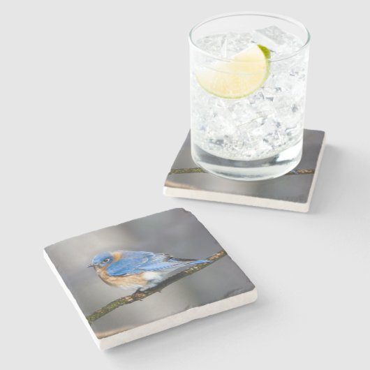 Ostdrossel-Stein-Untersetzer Steinuntersetzer (Seitenansicht)