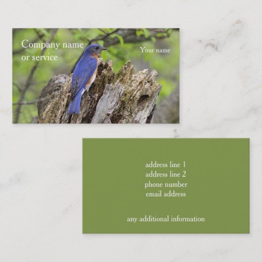 Ostdrossel Visitenkarte (Vorne/Hinten)