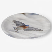 Ostdrosseltanzen im Schnee Pappteller (Schrägansicht)