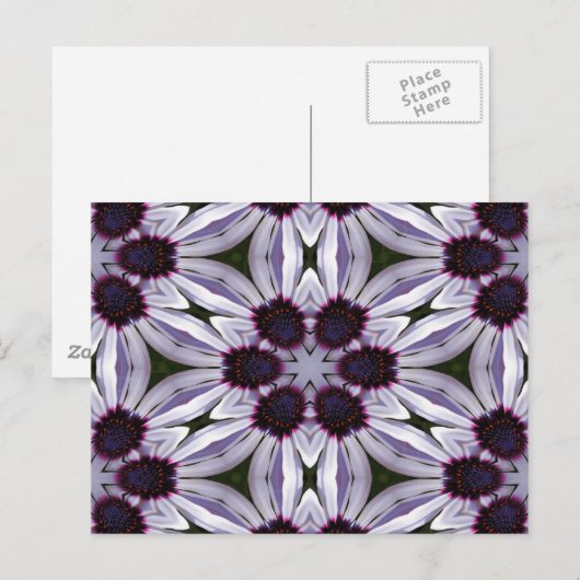 Osteospermum Abstrakt Postkarte (Vorne/Hinten)