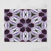 Osteospermum Abstrakt Postkarte (Vorderseite)