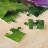 Osteospermum daisy puzzle (Seite)