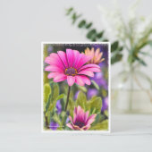 Osteospermum Postkarte (Stehend Vorderseite)