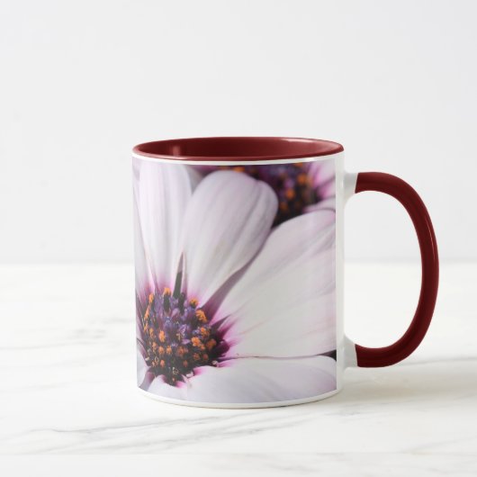 Osteospermum Tasse (Rechts)