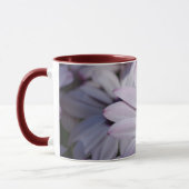 Osteospermum Tasse (Links)