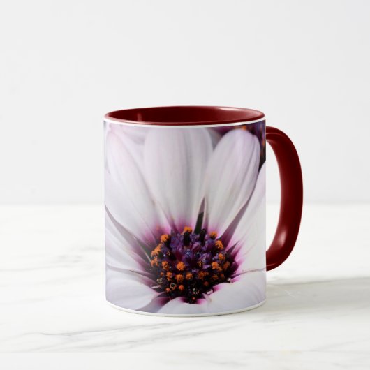 Osteospermum Tasse (VorderseiteRechts)