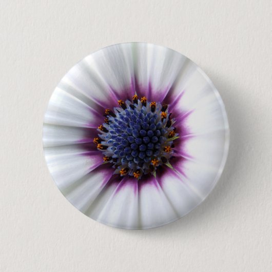 Osteospurmknopf Button (Vorderseite)