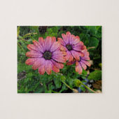 Osteospurmum Puzzle (Horizontal)