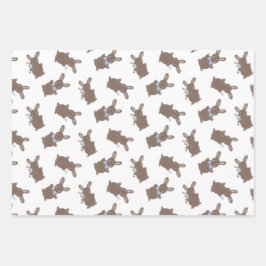 Oster-Baby-Junge-Hase-Blumenmuster Geschenkpapier Set