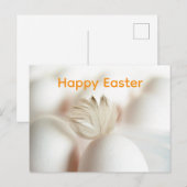 Oster-Eier mit Feder-Grafik Postkarte (Vorne/Hinten)