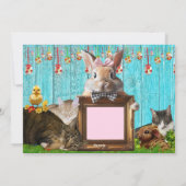 Oster-Flatcard - Katzen und Hasen Feiertagskarte (Rückseite)