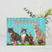 Oster-Flatcard - Katzen und Hasen Feiertagskarte (Stehend Vorderseite)