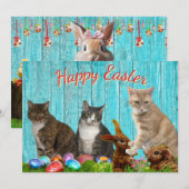 Oster-Flatcard - Katzen und Hasen Feiertagskarte (Vorne/Hinten)